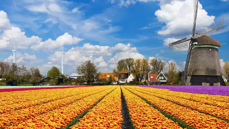 راهنمای سفر به هلند