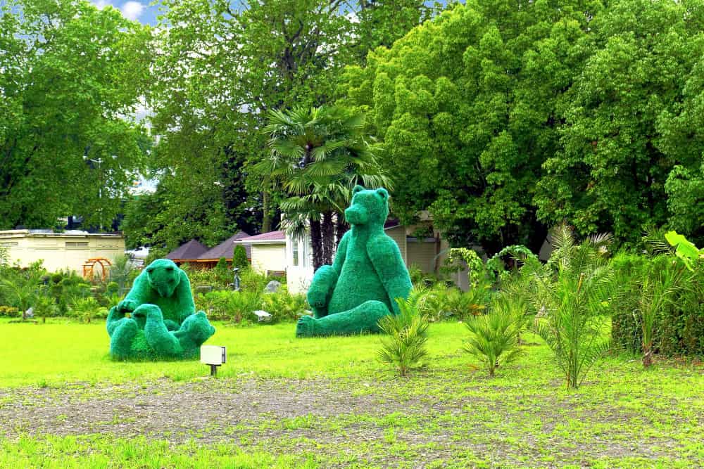 فستیوال خرس ها در برن