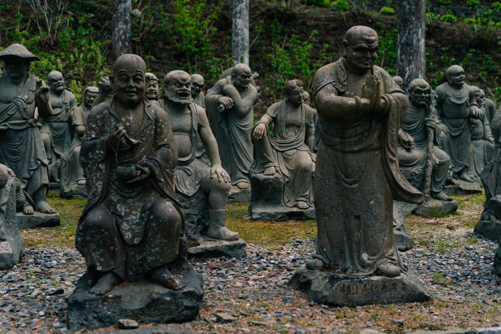 سفر به شیکوکو 