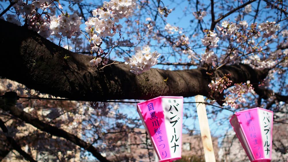 جشنواره های برتر ژاپن 4