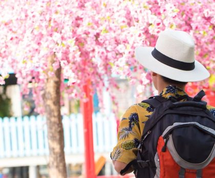 راهنمای کامل سفر به کاماکورا؛ کیوتوی شرق ژاپن