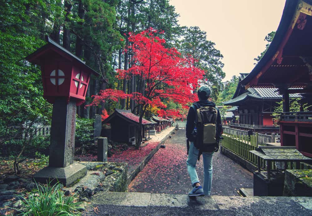  سفر به کانتو 